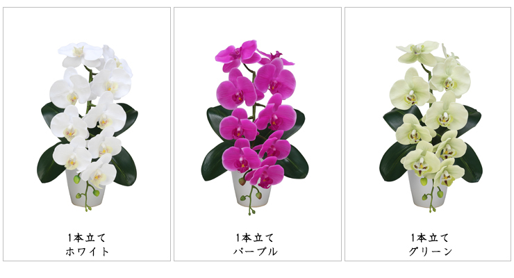 1本立てホワイト、1本立てパープル、1本立てグリーン、お問合せください。